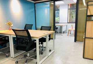 淄博园林苗木养护