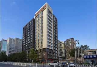 山西黄花菜忘忧草